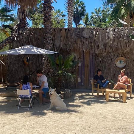 La Sardina Vandrarhem Todos Santos Exteriör bild