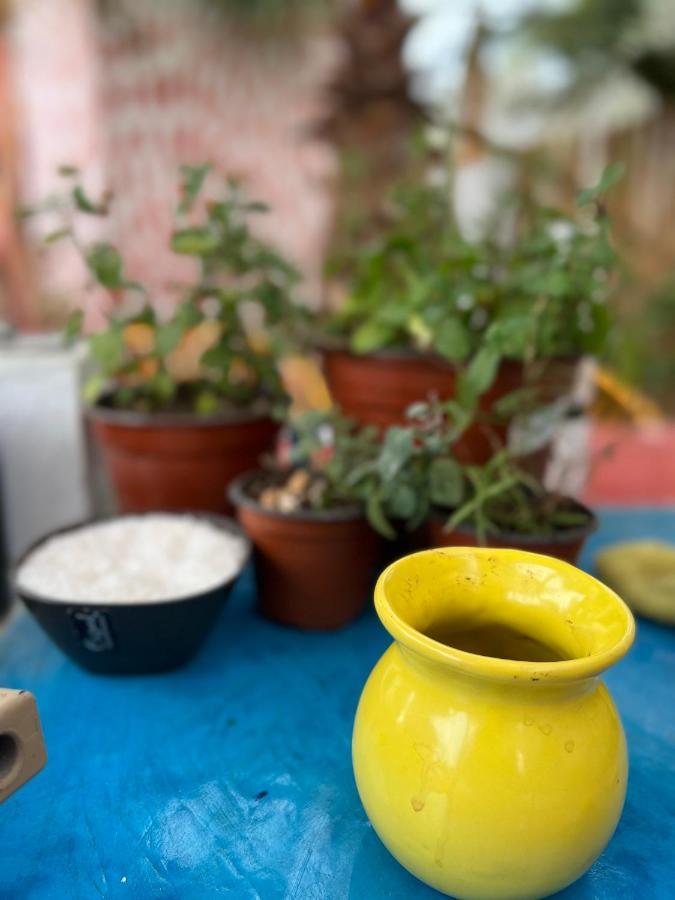 La Sardina Vandrarhem Todos Santos Exteriör bild