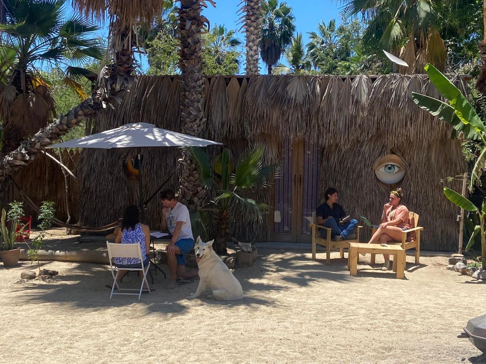 La Sardina Vandrarhem Todos Santos Exteriör bild